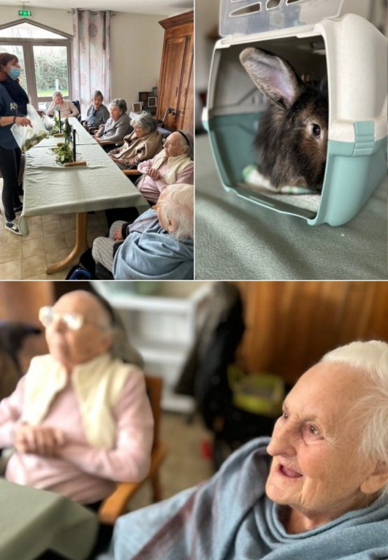 actualité EHPAD SEDNA