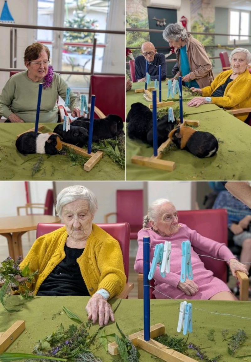 actualité EHPAD SEDNA