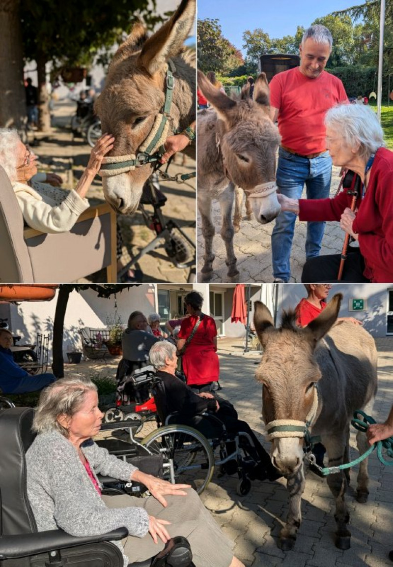 actualité EHPAD SEDNA