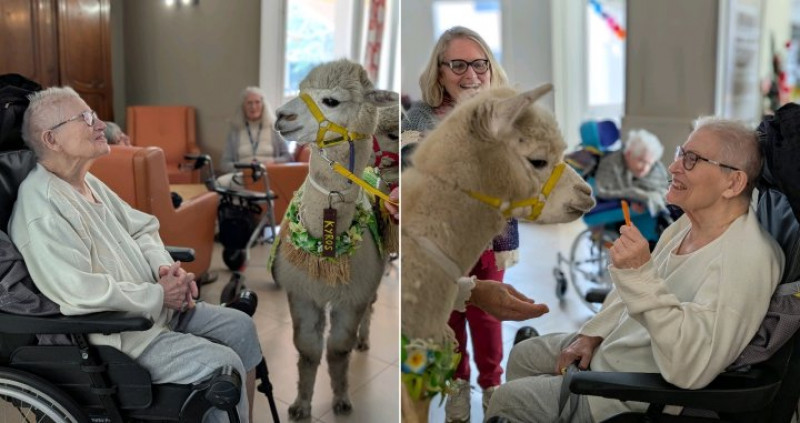 actualité EHPAD SEDNA