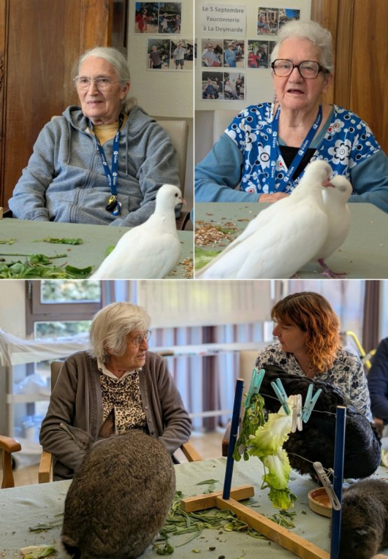 Vendredi 15 mai : médiation animale